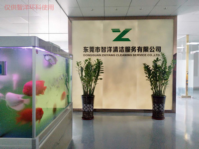 樟木頭停車場開荒保潔服務 智洋環科專業解決方案，覆蓋學校、工廠、物業、別墅及新舊樓宇